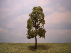 Sycamore 6" Premium Series 1 Pk. tree for dioramas & slot car layouts.