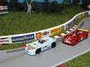 Racemasters Mega G+ slot cars.