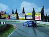 Custom painted 1/64 slot cars.