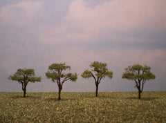 Acacia 1.5" Pro Series 4 Pk. trees for dioramas & slot car layouts.