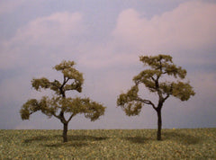 Beech 3" Pro Series 2 Pk. trees for dioramas & slot car layouts.