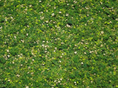 Scenery mix with 3 colors of ground foam, static grass & stones.