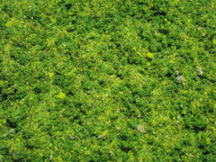 Diorama scenery mix. 3 colors of ground foam & static grass.