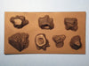 Large resin cast cut tree stumps for dioramas or display bases.