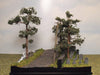 1/72 diorama model with cobblestone road and trees.